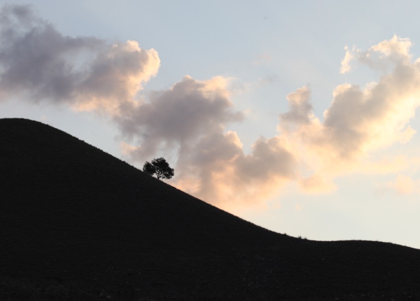 消息樹(shù)（新疆慶華集團園區外景）